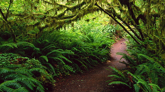 Walking Trail